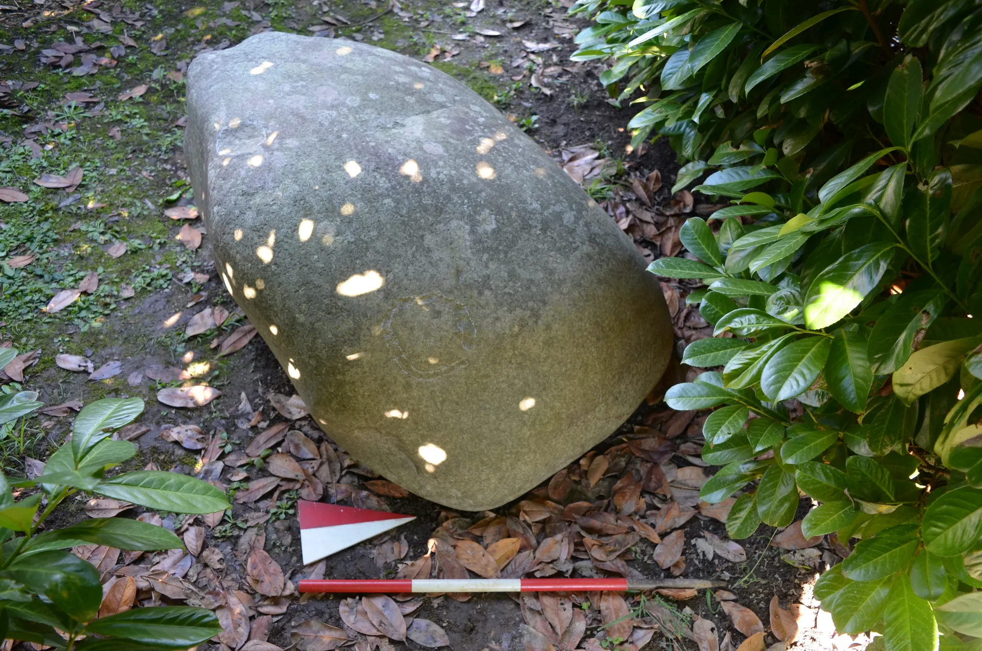 The Bodio Lomnago glacial erratic – wide view
