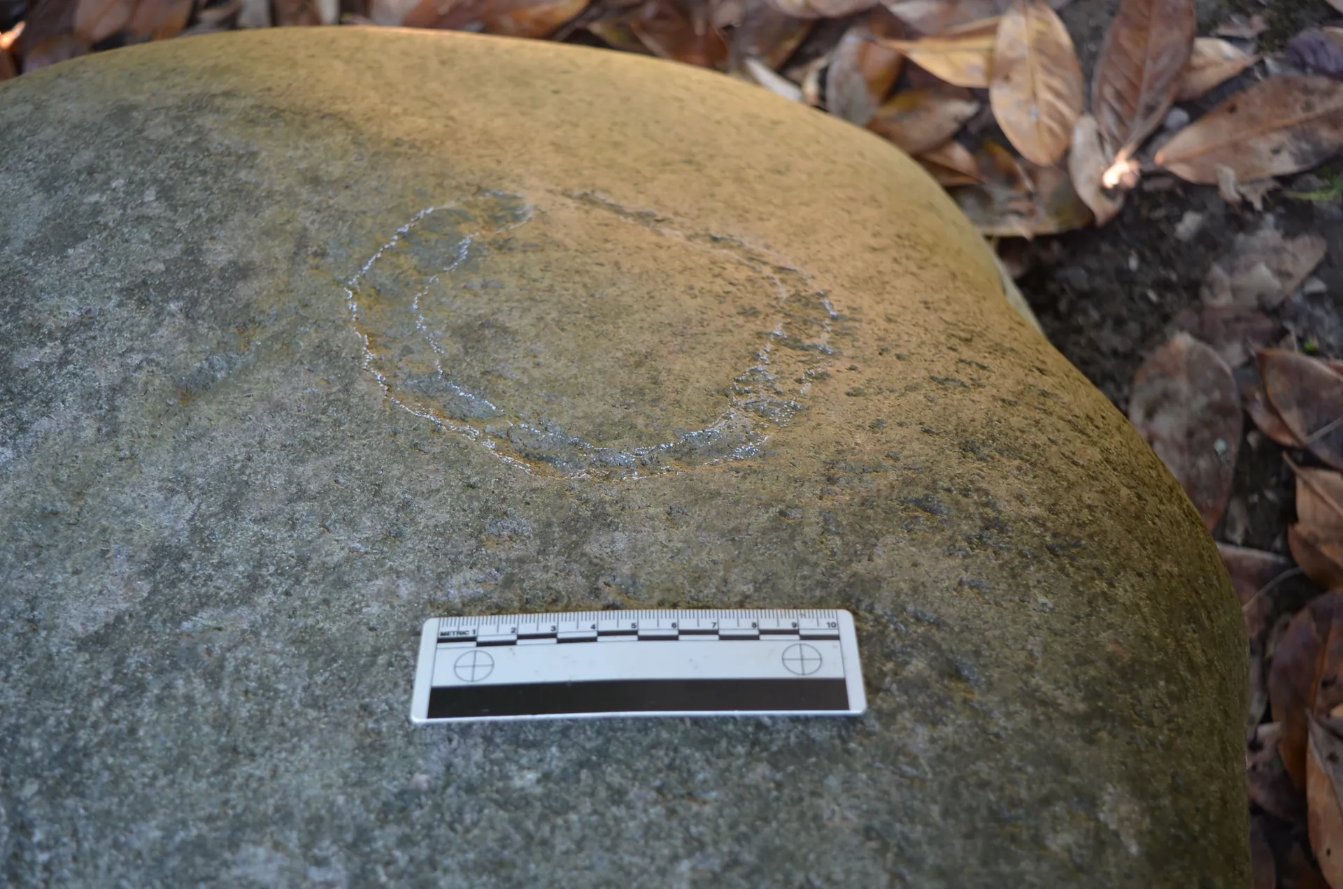 The Bodio Lomnago glacial erratic – sun disc carving