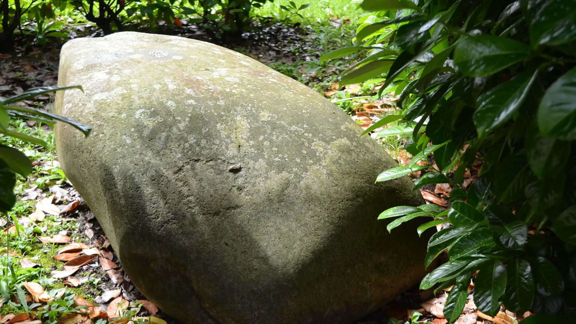 The Bodio Lomnago glacial erratic