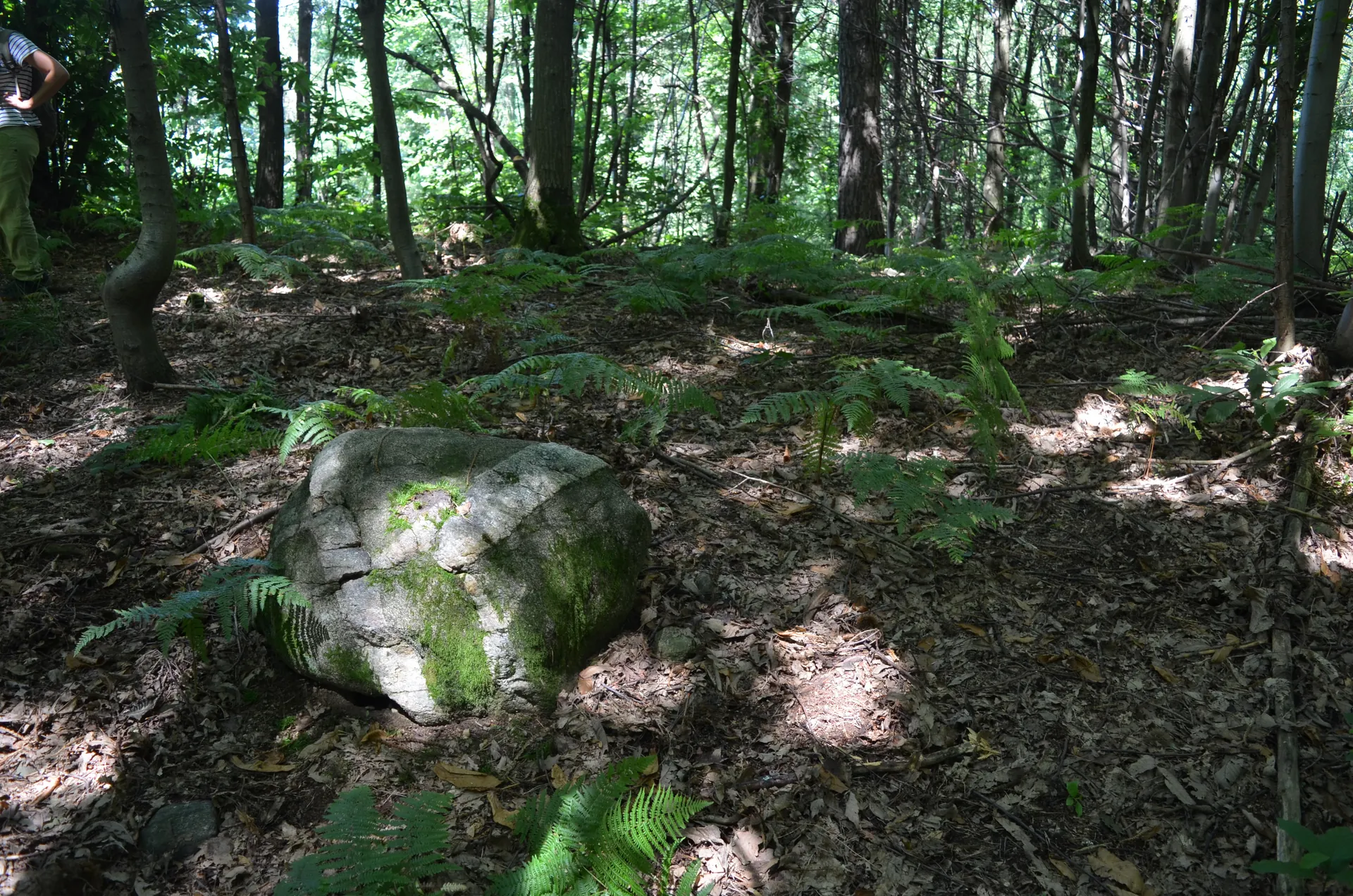 Mornago glacial erratic no. 2