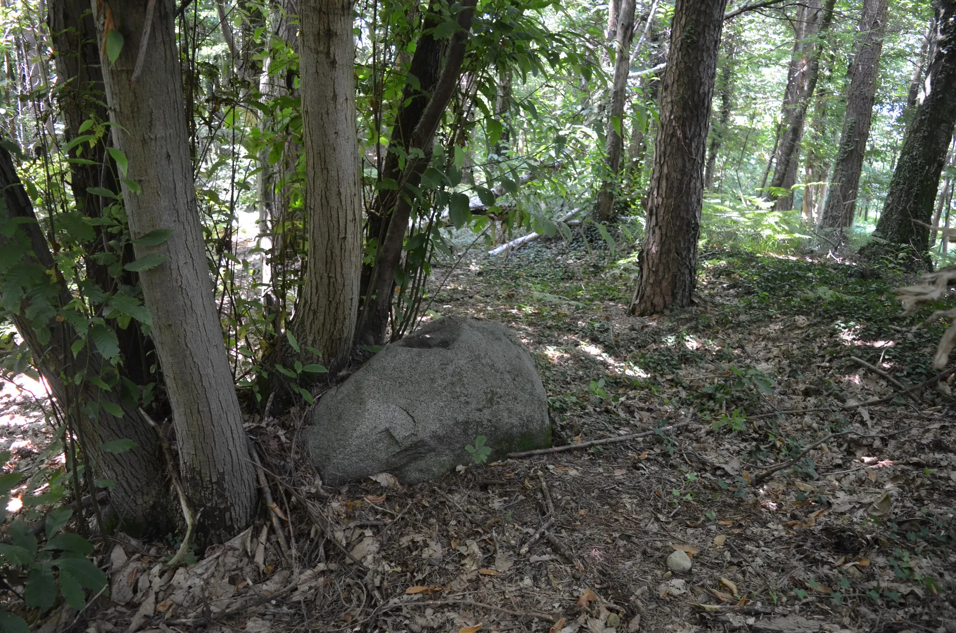 Mornago glacial erratic no. 3
